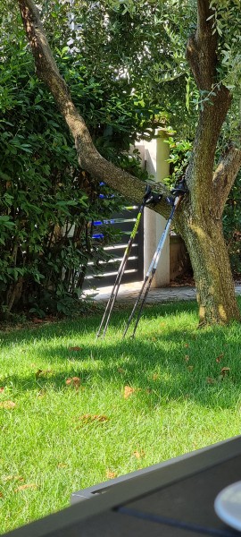Nordic walking Žilina – fotografia 18 z 42