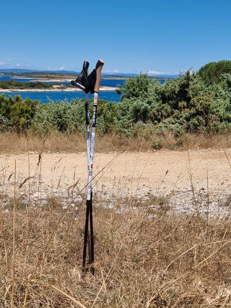 Nordic walking Žilina – fotografia 19 z 42