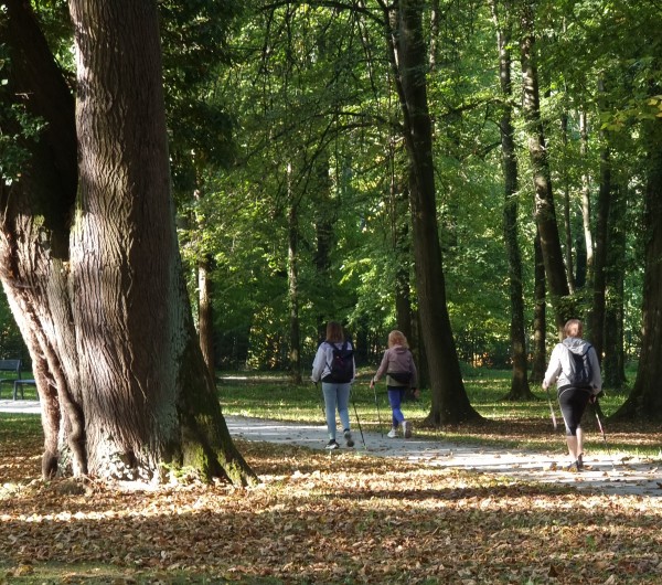 Nordic walking Žilina – fotografia 33 z 42